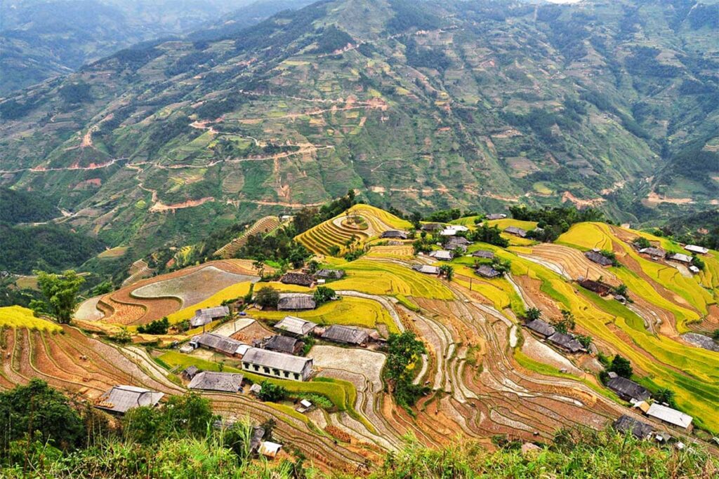 Arrozales en terrazas de Ban Phuong en Hoang Su Phi