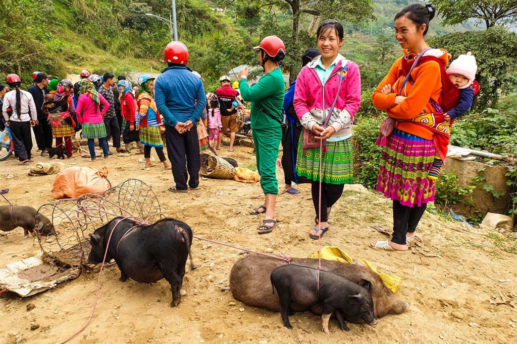 ethnic minorities at Coc Pai market in Xin Man Disitrict of Ha Giang province