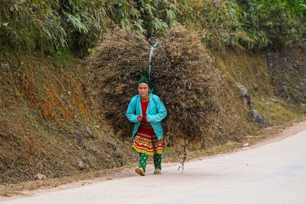 ethnic minority woman carrying branches up hill on the Ha Giang Loop