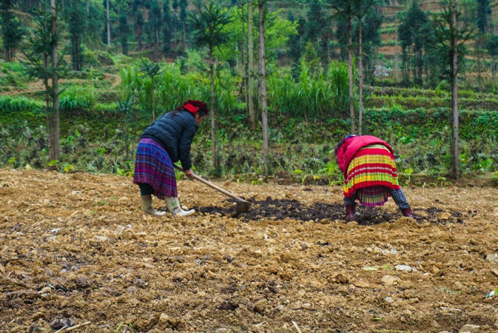 2 minority woman working on the fields at Lung Cam Village