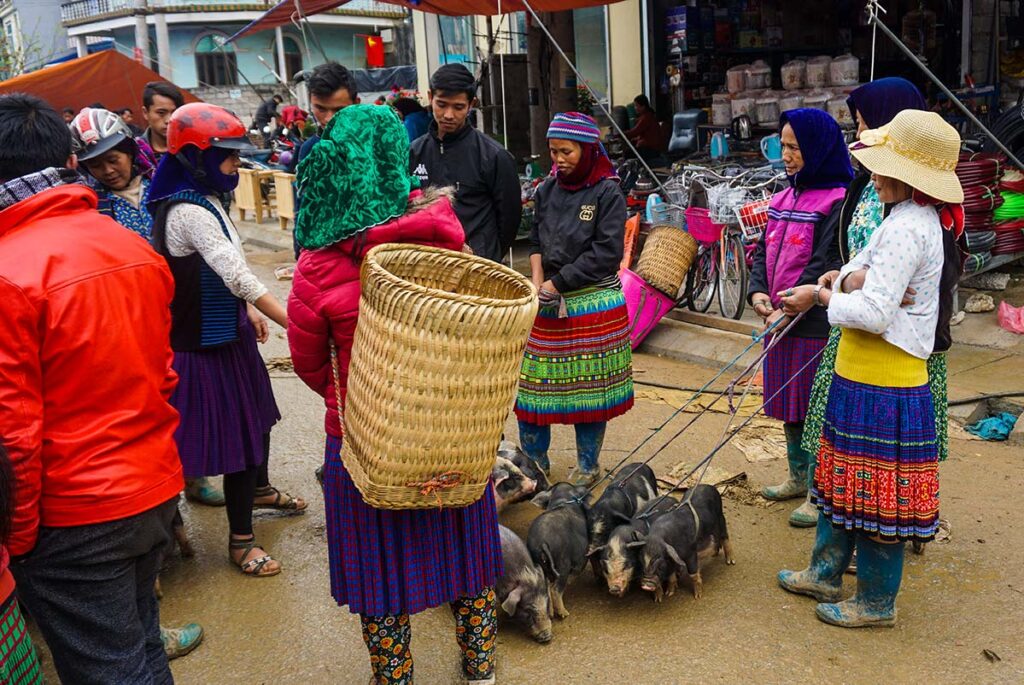 ethnic minority people holding pigs at the Meo Vac Market on Sunday