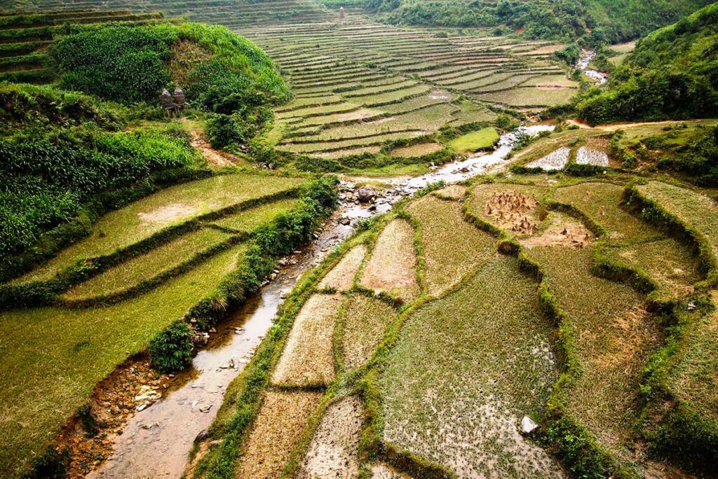 rice fields around Nam Dam Village