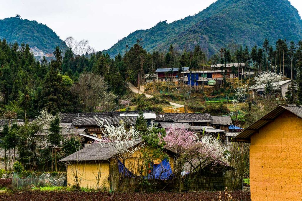 multiple ethnic houses in an village of Pho Bang Old Town