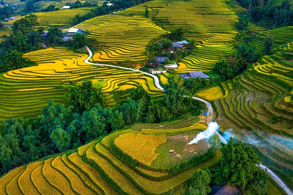 Y Linh Ho terraced rice fields in Sapa